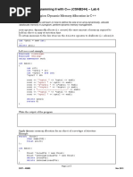 CSNB244 - Lab 6 - Dynamic Memory Allocation in C++