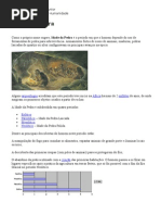 Coletânea de História da Humanidade