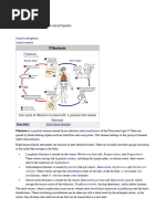 Filariasis