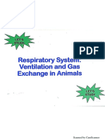 Respiratory System of Animals