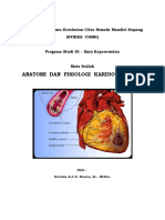 Anatomi Dan Fisiologi Kardiovaskular
