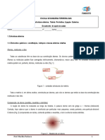 Aprenda sobre a estrutura atómica