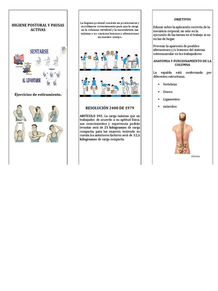 Ejercicios para Higiene Postural | PDF | Dolor lumbar | La columna ...