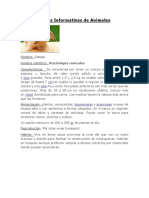 Fichas Informativas de Animales