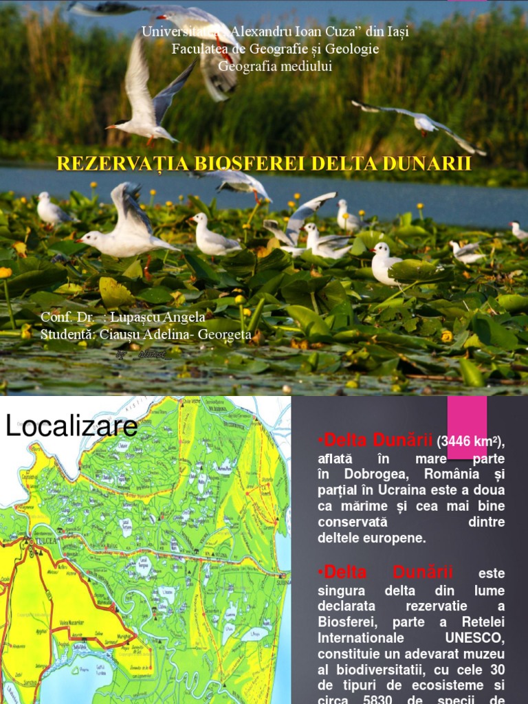 Delta Dunarii Ppt Final