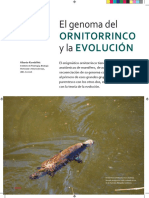Enviando Ornitorrinco.pdf