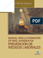 Manual para La Formacion de Nivel Superior en Riesgos Laborales Rubio Romero Juan Carlos Autho PDFPDF