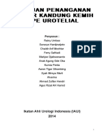 Ca Buli tipe Urothelial IAUI.pdf