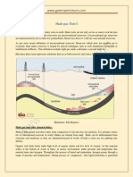 Shale-Gas.pdf