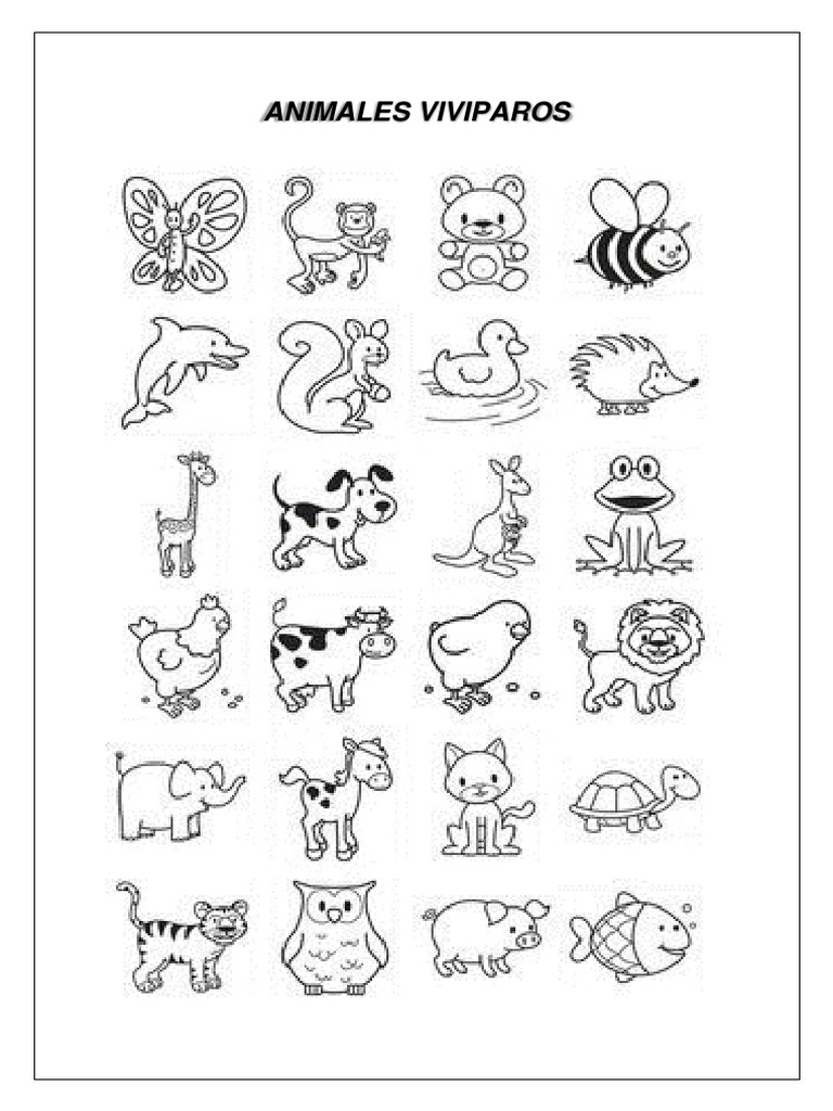 Animales Viviparos