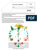 Examen Biología Final - Grado Septimo