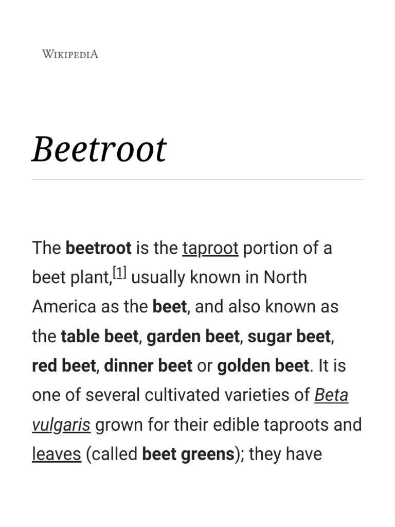Beetroot - Wikipedia | PDF | Beetroot | Foods