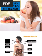 2. Sistema Digestivo Humano.pdf