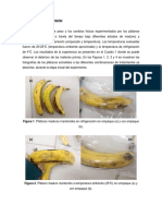 Informe de Refri Daño Por Frio