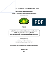 Hidalgo Ortiz - Micho Ymaña ALMIDON.pdf
