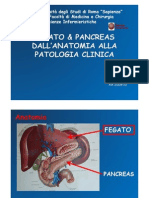 Fegato Pancreas