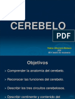 Cerebelo: anatomía y funciones