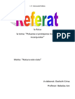 Referat Fizica Poluarea Mediului