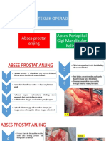 Teknik Operasi Abses