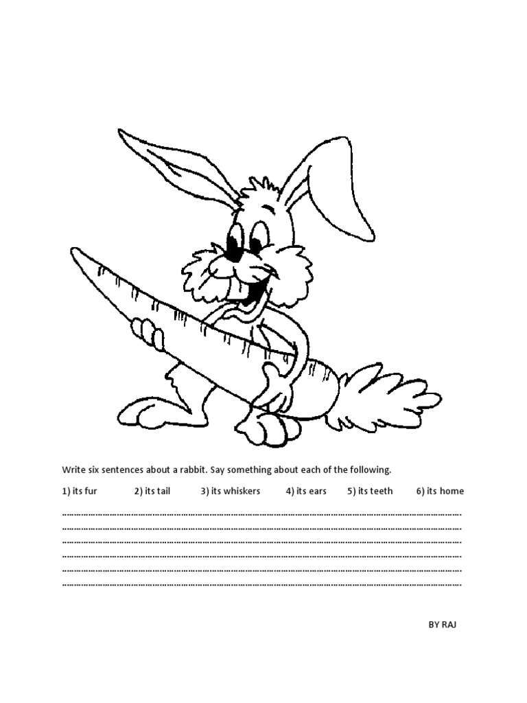Write Six Sentences About A Rabbit | PDF