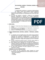 Pleno-Jurisdiccional-Nacional-Laboral-Resumen.pdf