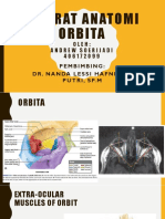 Orbita Anatomy Referat