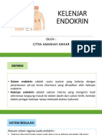 Sistem Endokrin Manusia