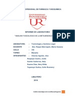 Informe 4 - Cocaina