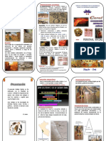 Triptico CARAL PDF