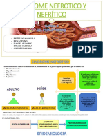 Sindrome Nefrotico y Nefritico - g14 Sg3