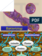 Bakteriologi