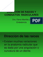 Direccion de Raices y Conductos Radiculares 2