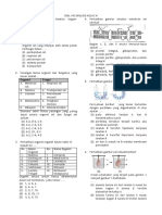 Pas Bio Xi