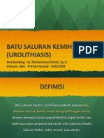 BATU_SALURAN_KEMIH.pptx