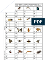Invertebrados, insectos, artrópodos y moluscos