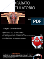 Aparato Circulatorio