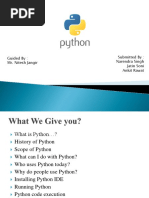 Python