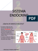 Sistema Endocrino