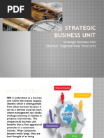What Is Strategic Business Unit (SBU) - Definition, Characteristics and ...