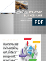 Strategic Business Unit (Nucleus Organizational Structure)