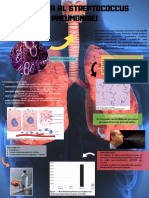 Streptococcus Pneumoniae