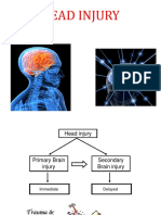 L1. Head Injury