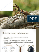 Orden coleoptera: distribución, subórdenes y familias más abundantes en Chile