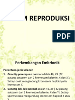 Sistem Reproduksi