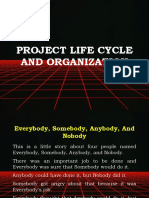 Project Life Cycle and Organization