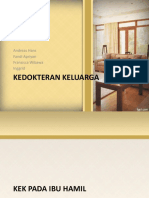 Kedokteran Keluarga