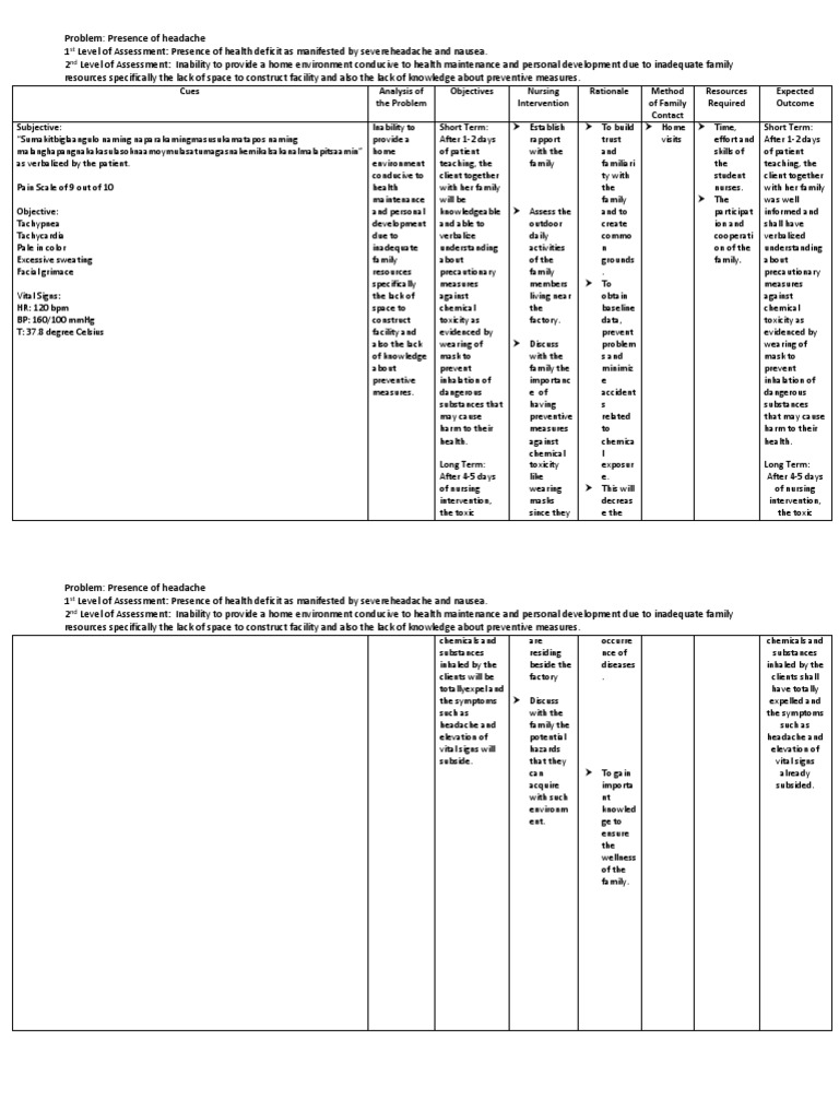 Family Nursing Care Plan | PDF | Medicine | Health Care