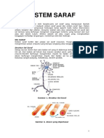 SISTEM-SARAF.pdf