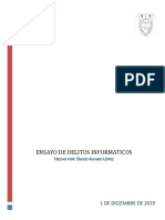 Ensayo de Delitos Informaticos