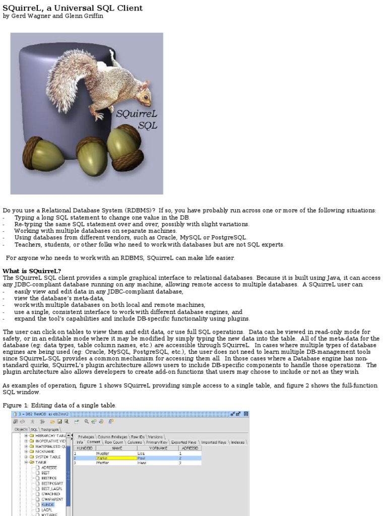 SQuirreL Us | PDF